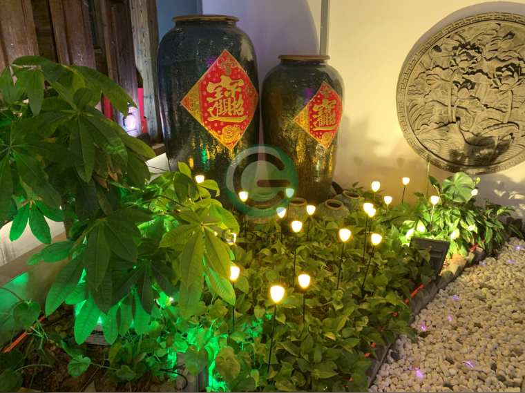芦苇灯 芦苇灯