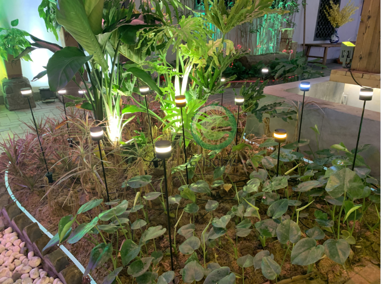 LED芦苇灯 LED芦苇灯
