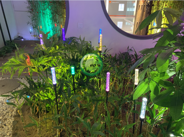 芦苇灯厂家 芦苇灯厂家