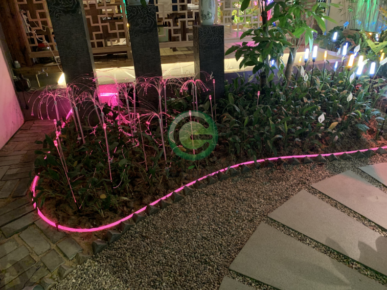 芦苇灯 芦苇灯