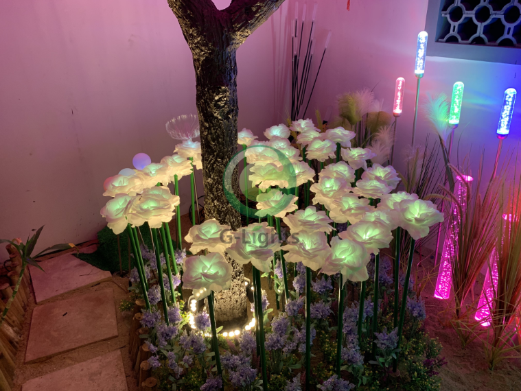 芦苇灯 芦苇灯